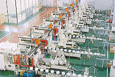 ���^���C���ʐ^